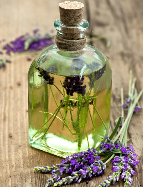 Making lavender oil myGarden