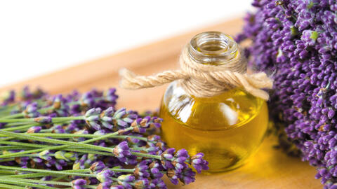 Making lavender oil myGarden